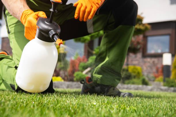 Best Cockroach Control Services  in Raeford, NC