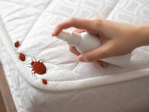 Best Best Pest Control Companies  in Raeford, NC